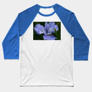 Iris Baseball T-Shirt